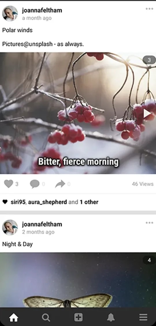 Photory feed: photo posts with likes, comments and views